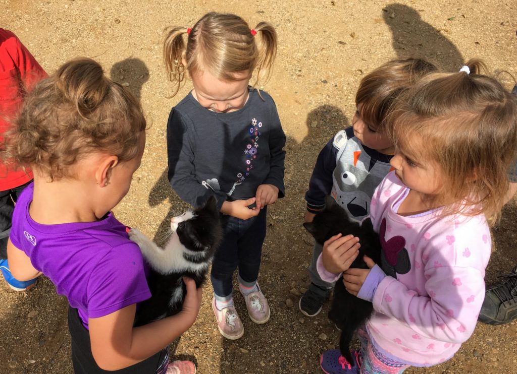 A small group of 3 girls and 1 little boy gathered in a circle holding a black and a black & white kitten.